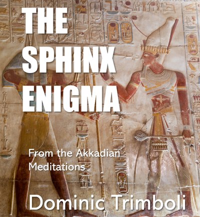 The Sphinx Enigma cover